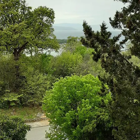 Safir Njivice