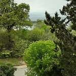 Safir Njivice